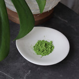 #0870.S5 Chikumeido: Usucha Matcha Seiju no Shiro 抹茶【清寿の白】