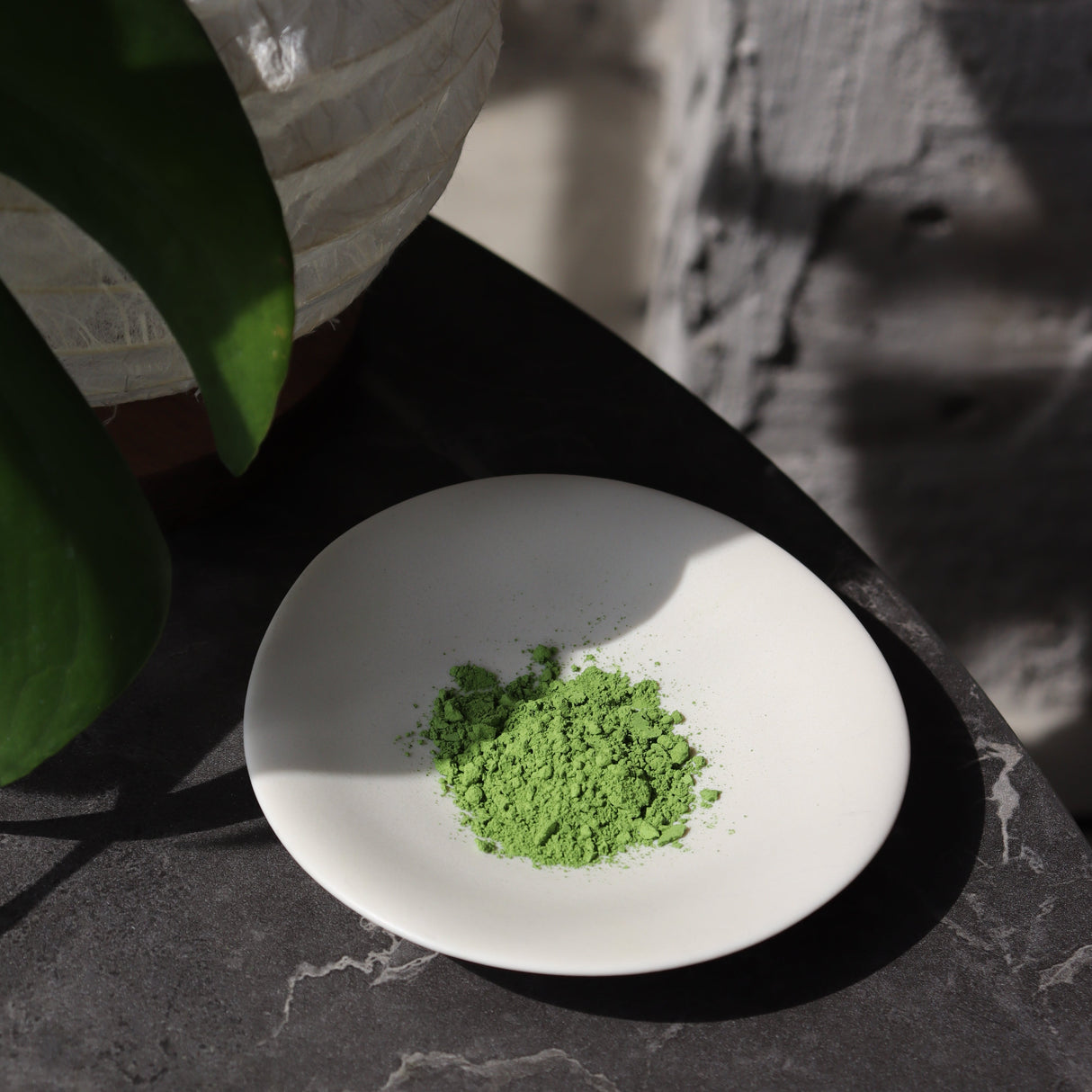 #0866.S5 竹明堂：濃茶抹茶駿河舞抹茶【駿河舞】