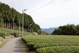 #1055.G1 新田製茶: インペリアル煎茶 （かぶせ茶）