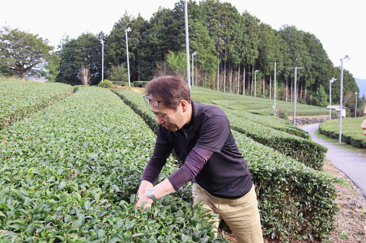 #1057.G1 Nitta Tea Factory: Premium Hojicha