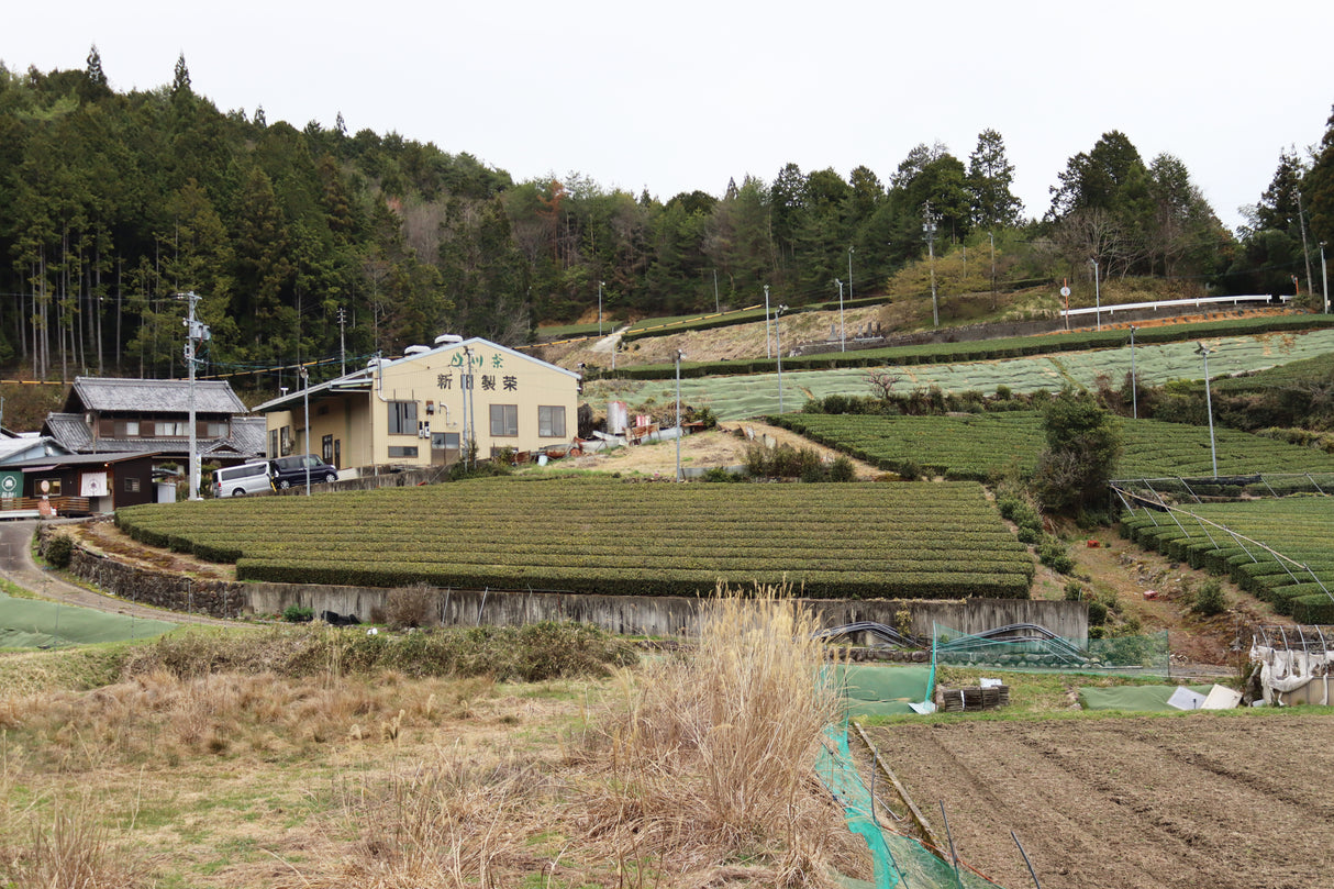 #1057.G1 Nitta Tea Factory: Premium Hojicha