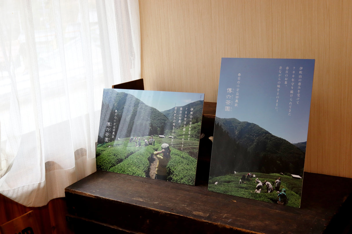#1069.G1 Ancient Mist - Bancha｜霧の古来茶 - 番茶