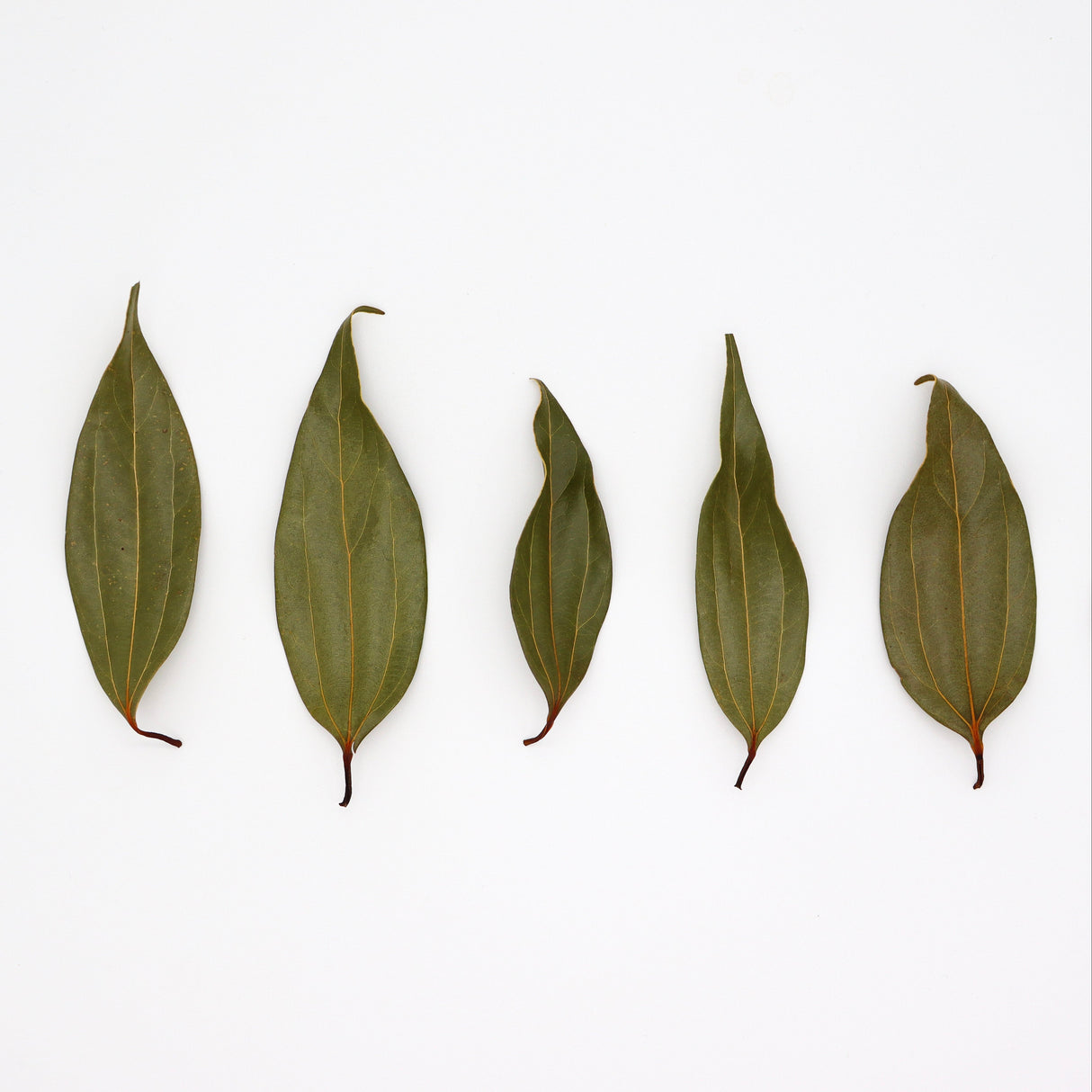 Kugani Kitchen: Karaki Okinawan Cinnamon Leaf Tea yunomi.life 3