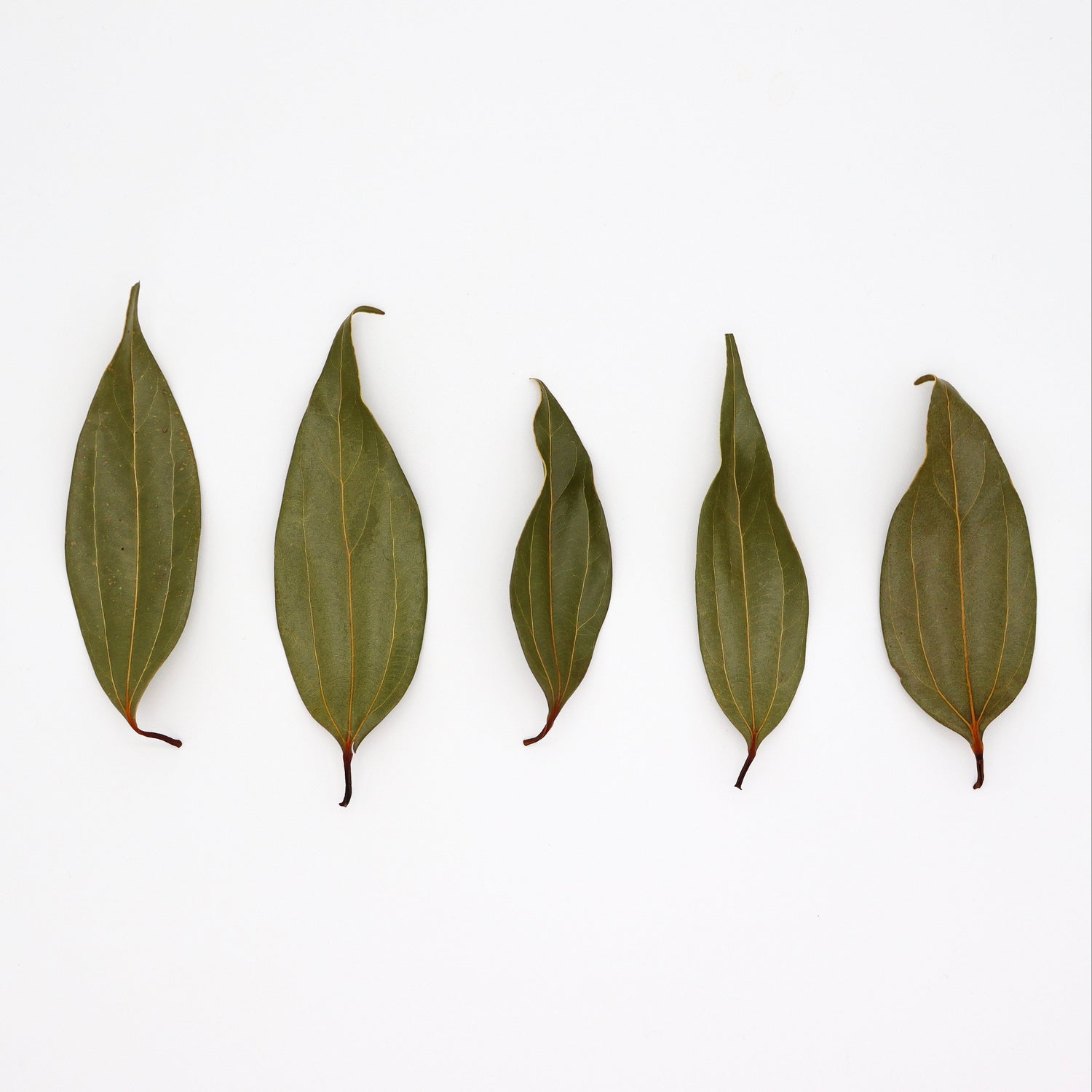 Kugani Kitchen: Karaki Okinawan Cinnamon Leaf Tea yunomi.life 3