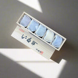 青安窯：彫絵美濃焼 ぐい呑み 5個セット 木箱付き 削ぎ五様 ぐい呑揃え