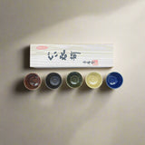 青安窯：彫絵美濃焼 ぐい呑み 5個セット 木箱付き 削ぎ五様 ぐい呑揃え