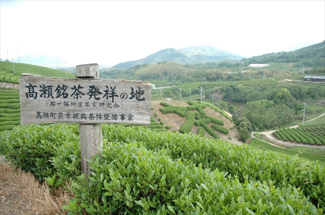 #1073.01 : 2026 Takase Tea Coop : Sencha "Takase" /  煎茶「高瀬」