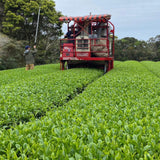 Tea Field  Harvester in Tanegashima Island, Kagoshima, Japan