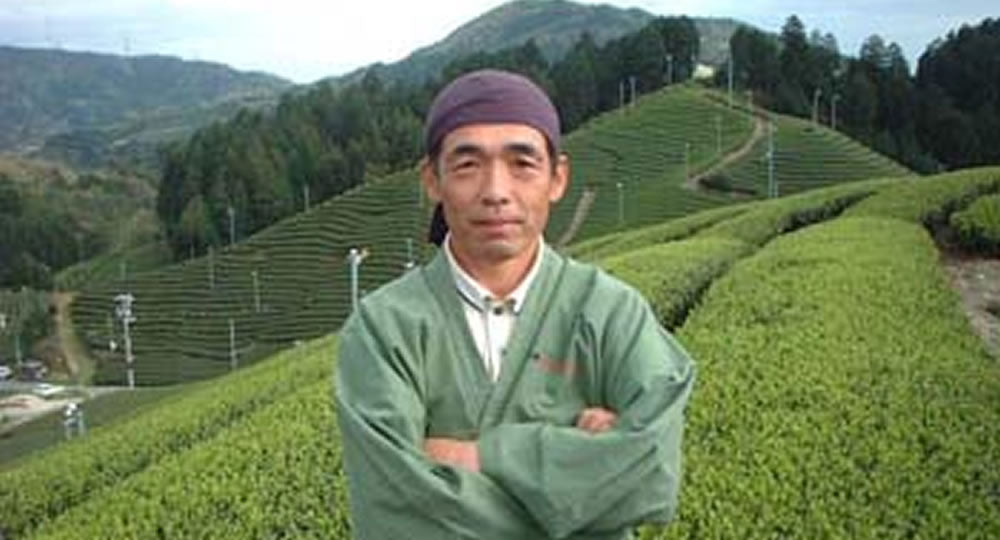 Uejima Tea Farm: Single Cultivar Yabukita Sencha from Wazuka, Kyoto