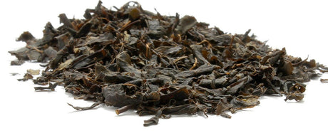 Japanese Black Tea Gokou Cultivar