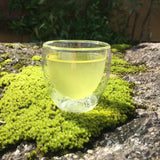 Ashigaracha Labo: Ogikubo Sencha Yabukita 2022 Micro-lot (Odawara, Kanagawa) - Yunomi.life