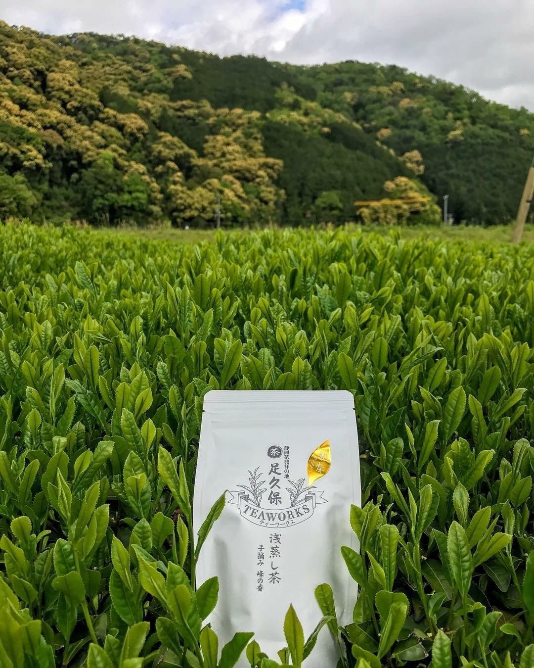 Ashikubo Teaworks: 2022 Handpicked Asamushi Sencha Mine no Kaori 足久保 浅蒸し茶 手摘み 峰の香 - Yunomi.life