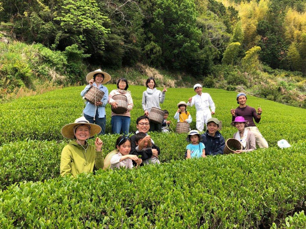 Ayumi Farms (Cyittorattu): 2022 Handpicked Shizuoka Sencha (Ultra Micro Lot, Limited Edition) 手と手で紡ぐ「手摘み煎茶」 30g - Yunomi.life