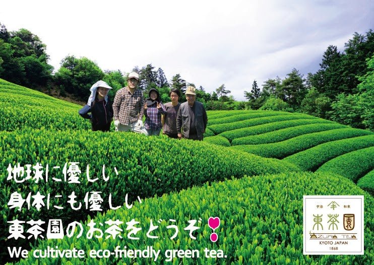 Azuma Tea Garden: All-Purpose Matcha (Premium Culinary Grade) オールパーポス抹茶 - Yunomi.life