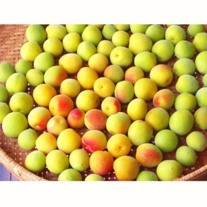 Chasandai: Ume Shiso Bancha (Plum & Perilla Green Tea Bags (5g x 8) - Yunomi.life