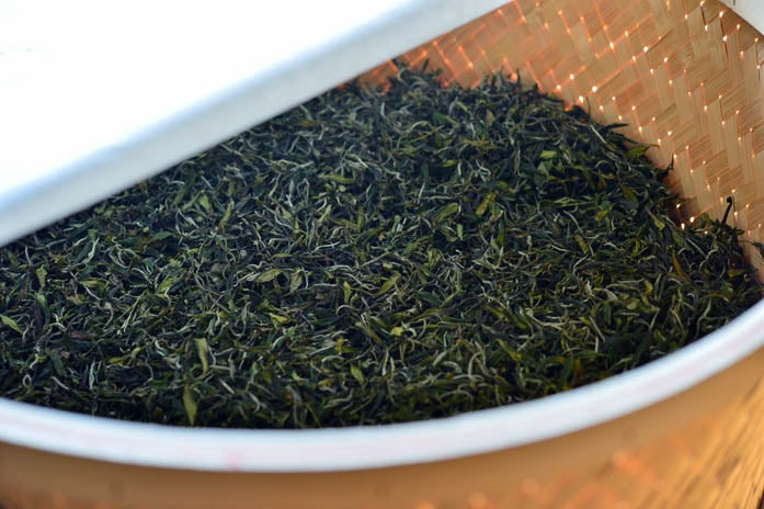 #0245.S2 Bizenya: #05 Haru - Handpicked Sayamacha White Tea, Fukumidori Cultivar 狭山白茶 白瑠（Haru）