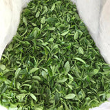 #0349.K2 Tanegashima Island Shoju (micro batch, limited) - Single Cultivar Sencha - Iba Takahiro Tea Garden