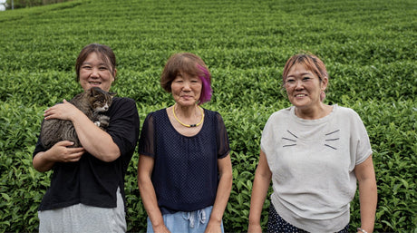 Kiroku Tea Garden: Single Cultivar Gokou Matcha from Wazuka, Kyoto - Yunomi.life