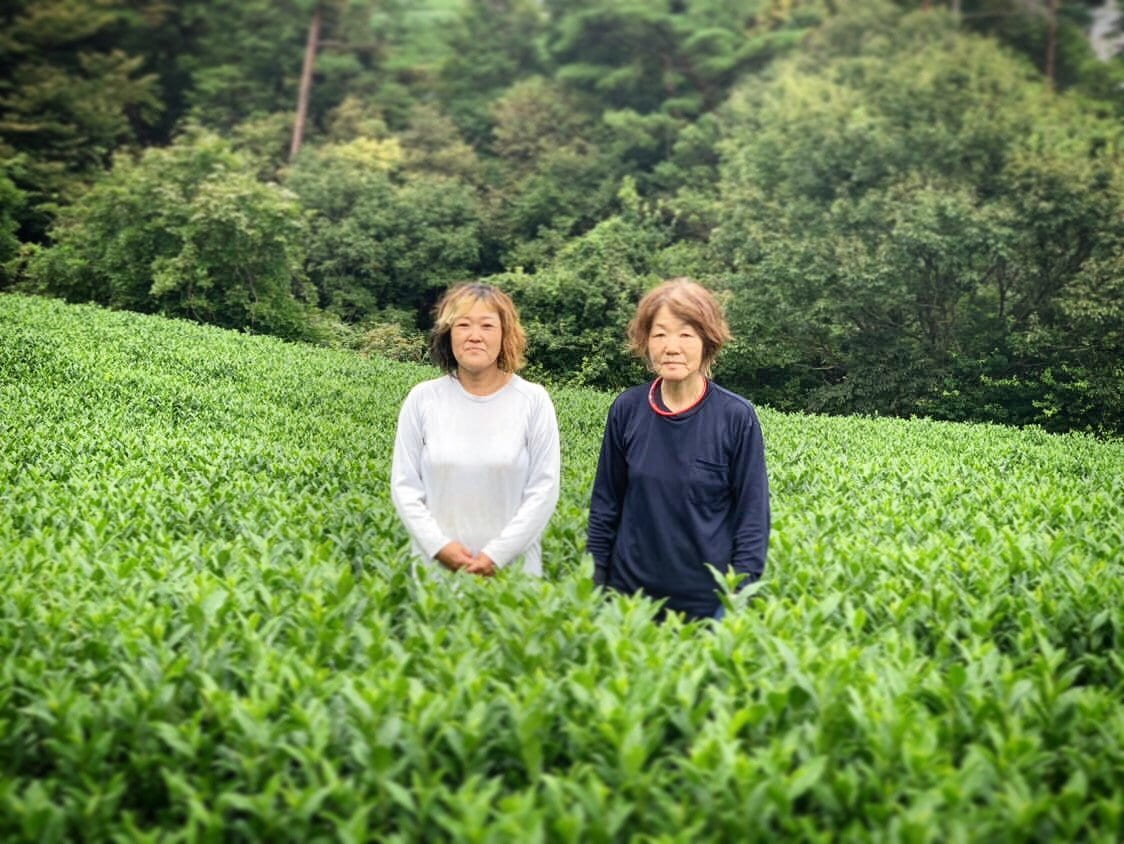 Kiroku Tea Garden: Single Cultivar Tencha Asanoka from Wazuka, Kyoto - Yunomi.life