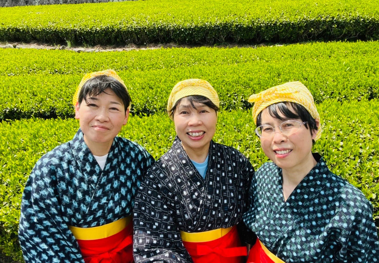 Kiyosawa Tea Gardens: Shizuoka Spring Asamushi Sencha by Farmer Sugiyama Yachiyo - Yunomi.life