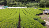 Kiyosawa Tea Gardens: Shizuoka Spring Kukihojicha Roasted Green Tea Leaf Stems by Farmer Kajiyama Yukako - Yunomi.life