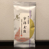 Nishide G10: Standard Uji Gyokuro 宇治玉露 - Yunomi.life