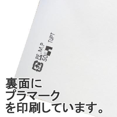 Seiwa 50552: Sample Packets, white matte paper, 110 x 110 mm - Yunomi.life