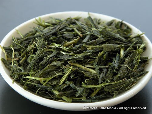 Takeo Tea Farm: 2022 Organic Bancha Green Tea, Satsuki no Aoyanagi, May harvest 五月の青柳 - Yunomi.life