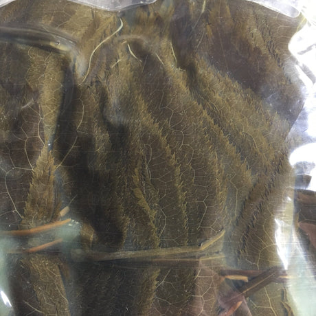 Tomiz: Pickled Sakura Leaves from Izu Peninsula, Shizuoka 桜葉の塩漬(伊豆産) - Yunomi.life