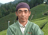 Uejima Tea Farm: Wazuka Sencha Premium (Okumidori/Tsuyuhikari) 特上煎茶 - Yunomi.life