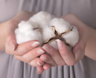 スバルの生分解性コットン（ベンリーゼ™）入りティーバッグ